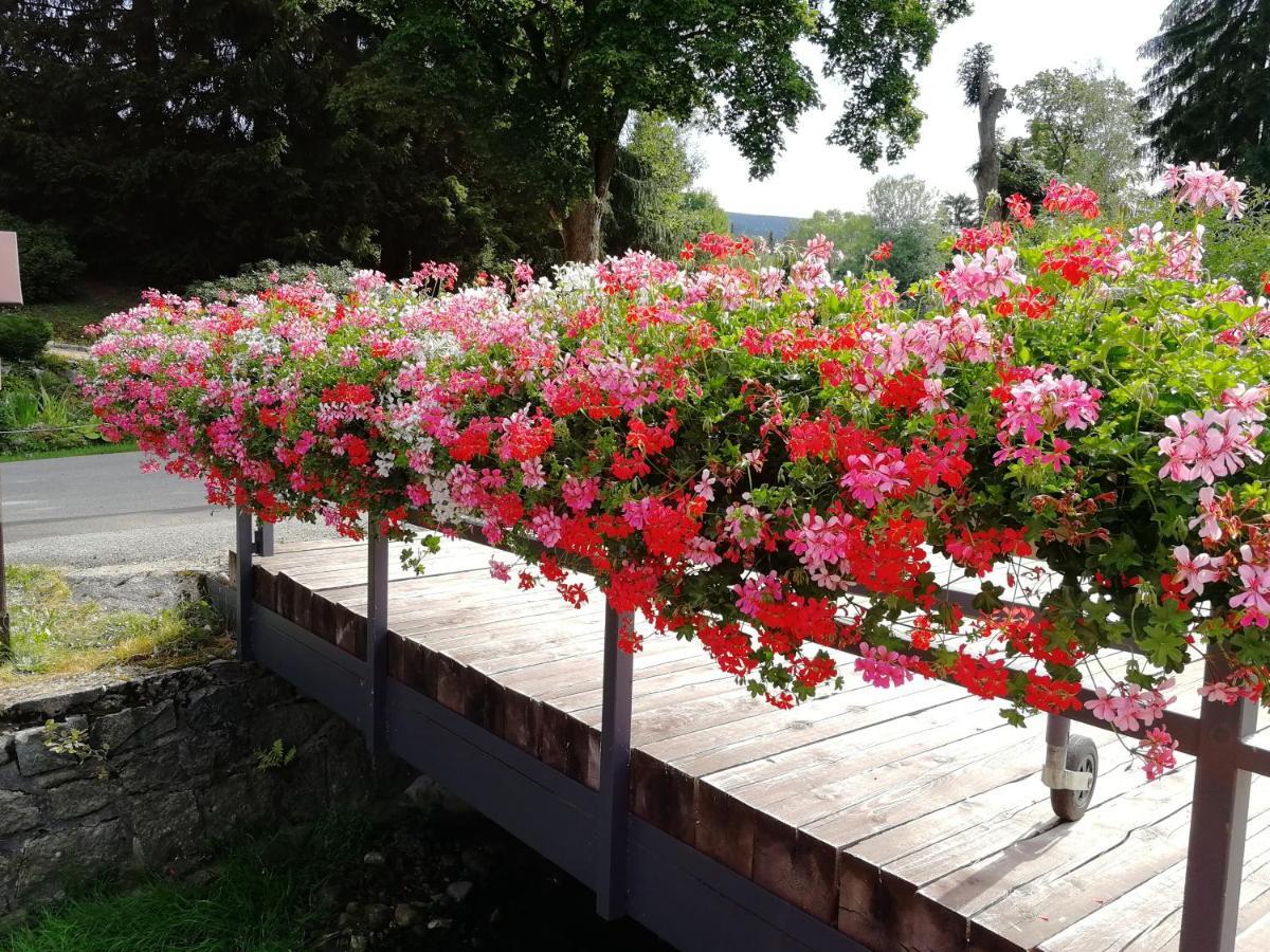 Penzion Bila Voda Harrachov Buitenkant foto