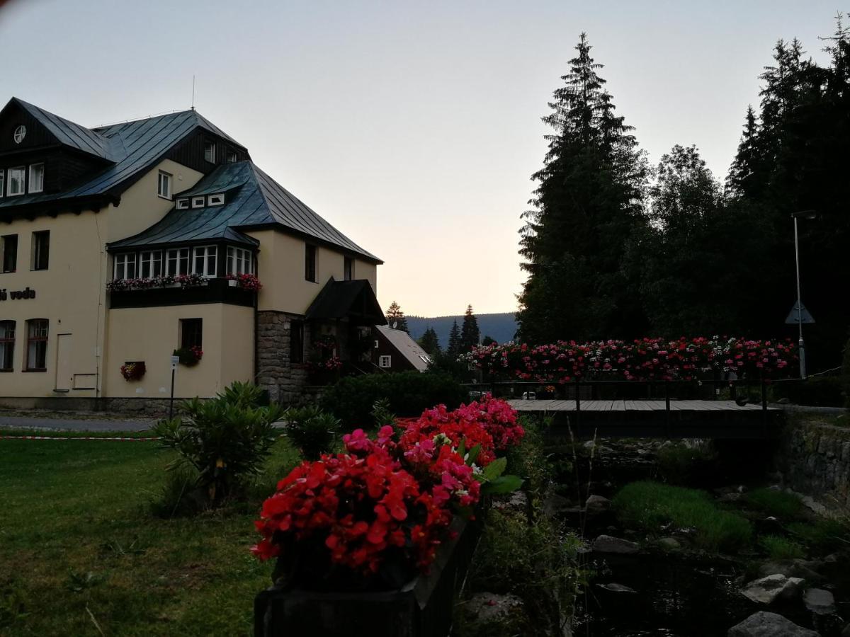 Penzion Bila Voda Harrachov Buitenkant foto