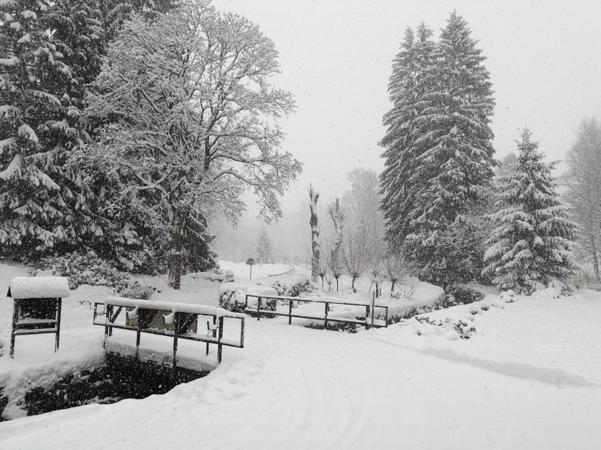 Penzion Bila Voda Harrachov Buitenkant foto